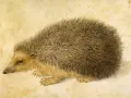 Un hérisson aux piquants réalistes, un de ces animaux qui semblent durer à travers les âges, sur un fond jauni.