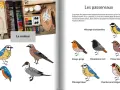 Un oiseau dessin couleur, un rouge-gorge, une mésange bleue et d'autres oiseaux illustrés.