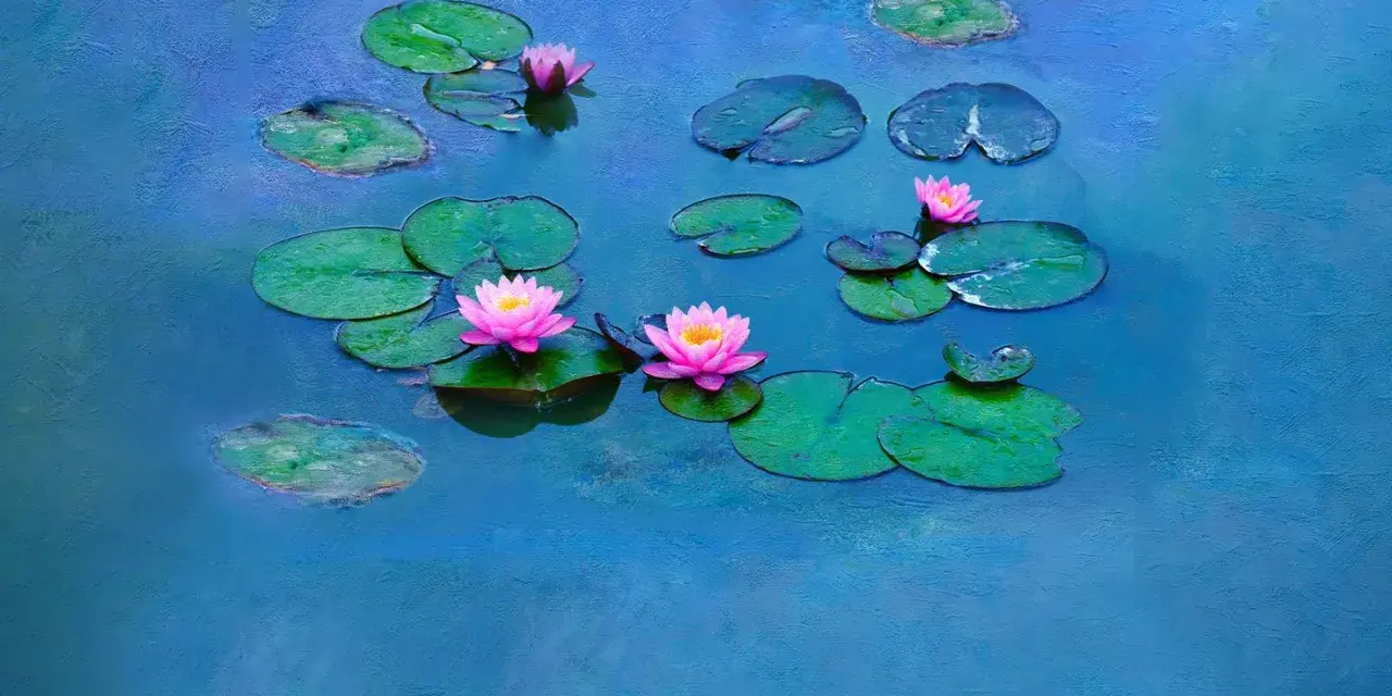 Nénuphars roses et verts sur un étang bleu, évoquant les célèbres séries de Claude Monet.