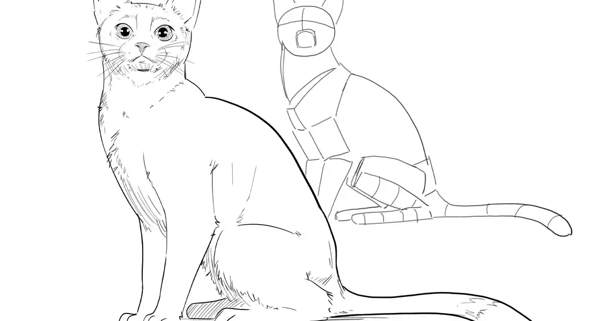 Dessin d'un chat réaliste à gauche, et d'un croquis géométrique de chat à droite, montrant les étapes de création d'un dessin chat.