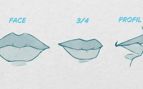 Trois vues d'une bouche dessin réaliste : de face, de trois-quarts et de profil.