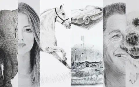 Un collage de dessins réalistes : un éléphant, une femme, un cheval, une voiture, un hamburger, un homme et un chien.