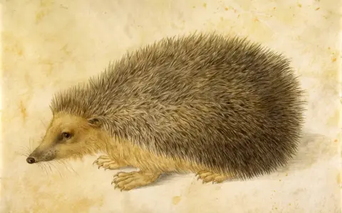 Un hérisson aux piquants réalistes, un de ces animaux qui semblent durer à travers les âges, sur un fond jauni.