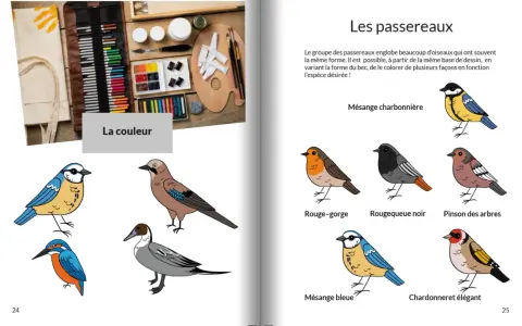 Un oiseau dessin couleur, un rouge-gorge, une mésange bleue et d'autres oiseaux illustrés.