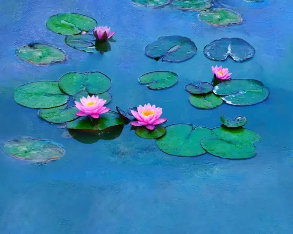 Nénuphars roses et verts sur un étang bleu, évoquant les célèbres séries de Claude Monet.