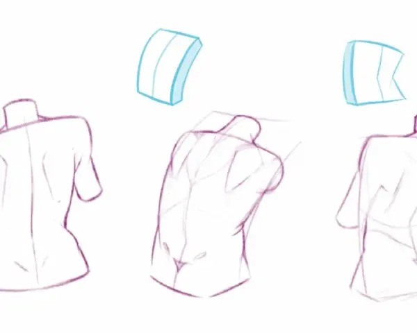 Trois études de torse humain en dessin observation, montrant différentes perspectives et volumes.