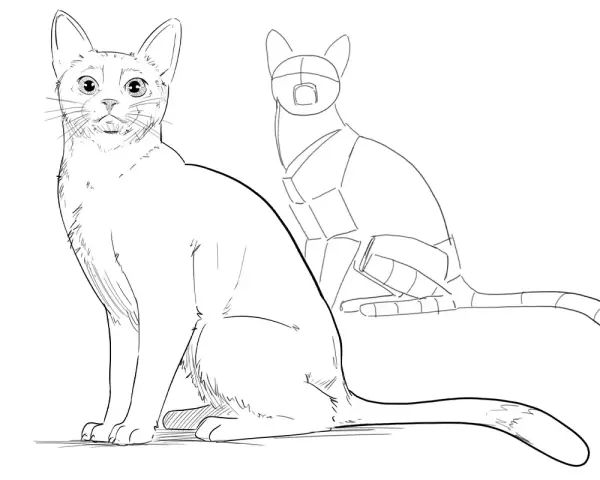 Dessin d'un chat réaliste à gauche, et d'un croquis géométrique de chat à droite, montrant les étapes de création d'un dessin chat.