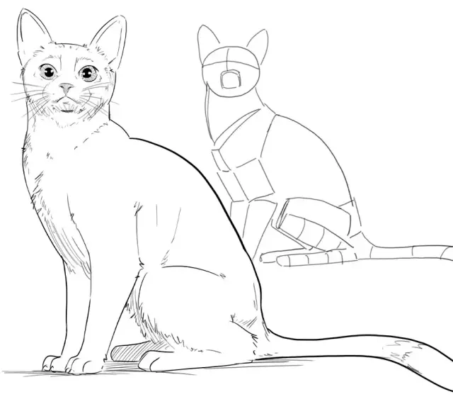 Dessin d'un chat réaliste à gauche, et d'un croquis géométrique de chat à droite, montrant les étapes de création d'un dessin chat.