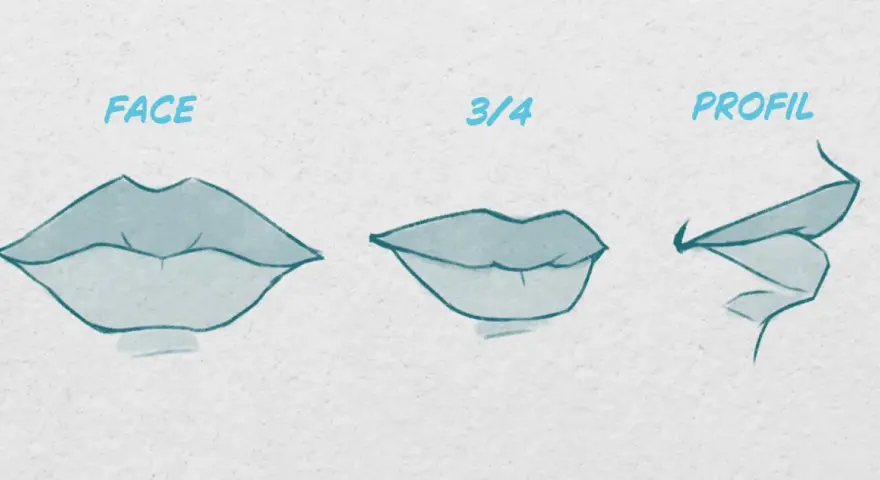 Trois vues d'une bouche dessin réaliste : de face, de trois-quarts et de profil.