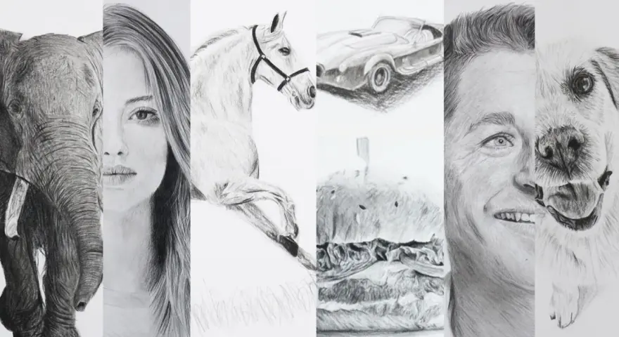 Un collage de dessins réalistes : un éléphant, une femme, un cheval, une voiture, un hamburger, un homme et un chien.