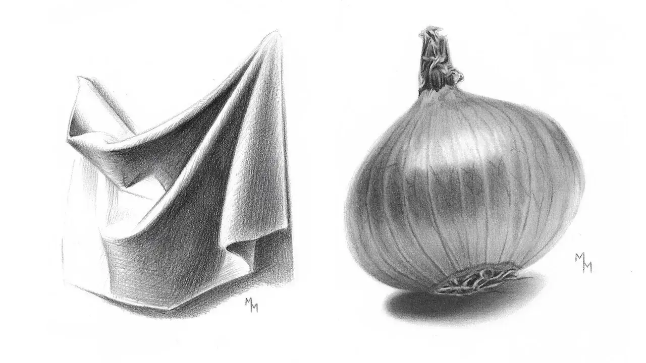 Dessin estompe d'un tissu pliss&eacute; et d'un oignon r&eacute;aliste, avec des ombres douces et des textures fines.