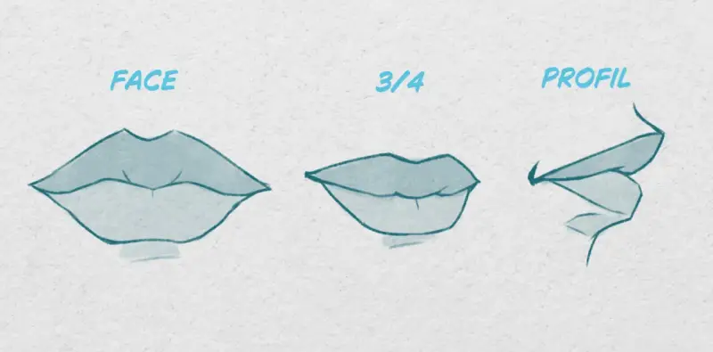 Trois vues d'une bouche dessin réaliste : de face, de trois-quarts et de profil.