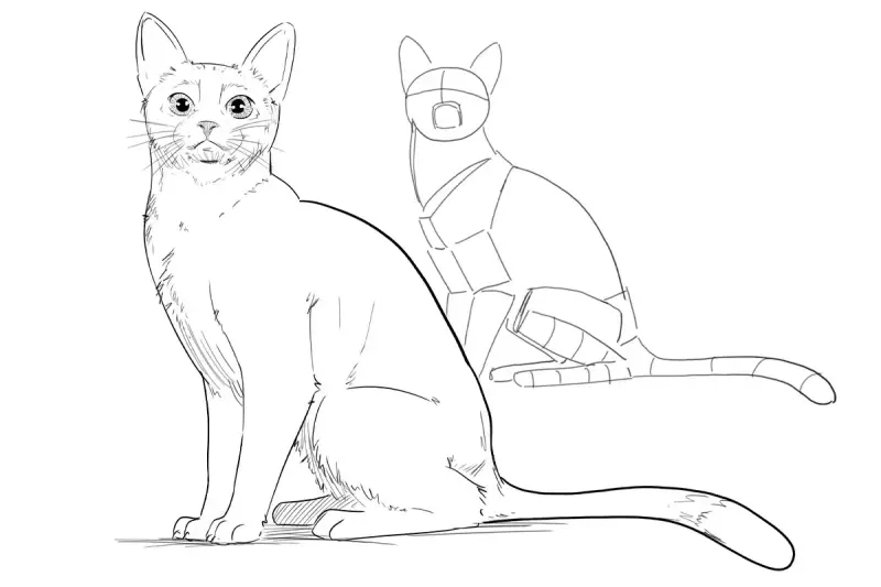Dessin d'un chat réaliste à gauche, et d'un croquis géométrique de chat à droite, montrant les étapes de création d'un dessin chat.